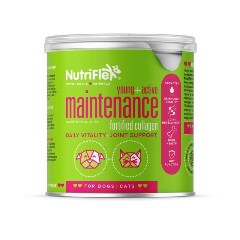 Young and Active Everyday Maintenance Collagen for Pets