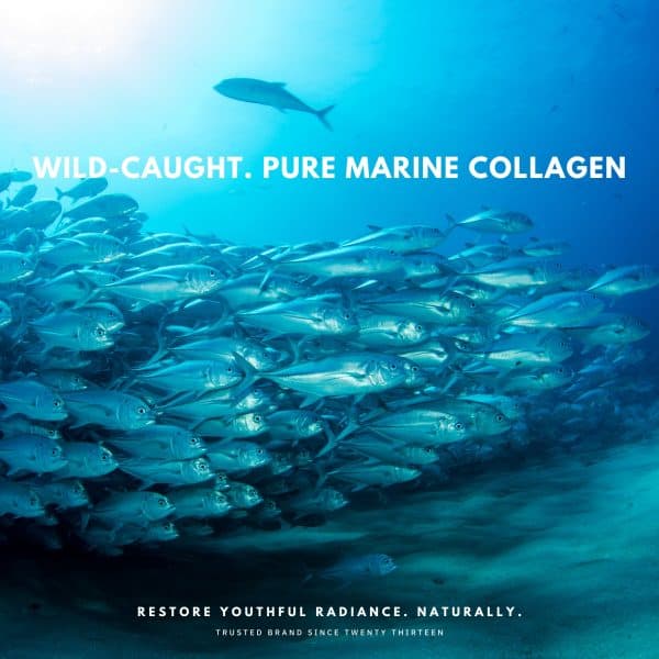 An underwater scene with a school of wild-caught fish is used to highlight the source of marine collagen powder. The image includes text bubbles emphasising the product's purity, origin from North Atlantic waters, and certification for sustainable fishing practices